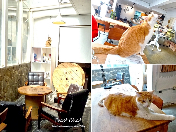 Toast Chat：【台北市大安區/食記】東區早午餐、貓咪餐廳、下午茶 (完整菜單) ✿✿ Toast Chat ✿✿
