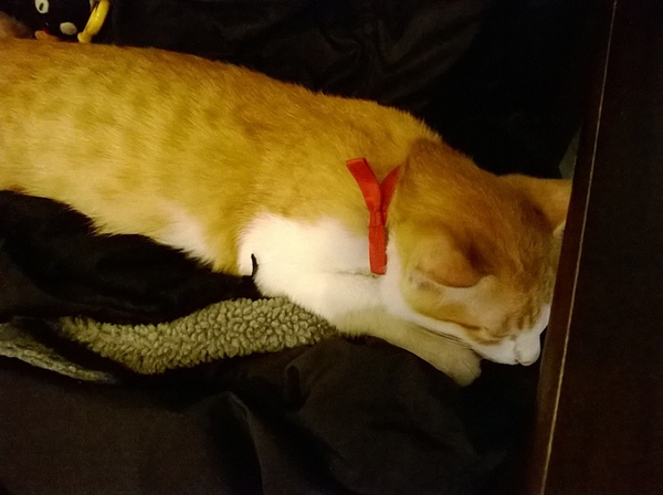 Toast Chat:201311232255Taost Chat~小貴但頗好吃ㄉ水波蛋!!!