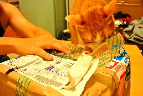 cm20130902___e45891ad1d8946d9cd8cc022ccb