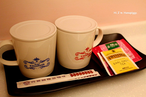 伊莉莎白酒店(28)