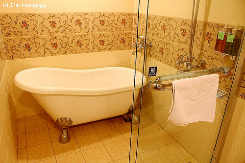 伊莉莎白酒店(19)