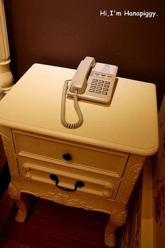 伊莉莎白酒店(37)