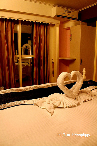 伊莉莎白酒店(38)