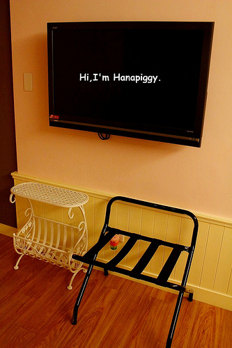 伊莉莎白酒店(24)