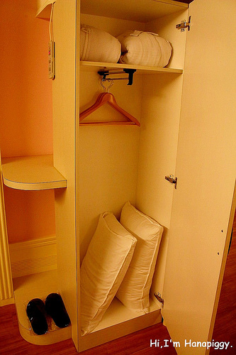 伊莉莎白酒店(39)