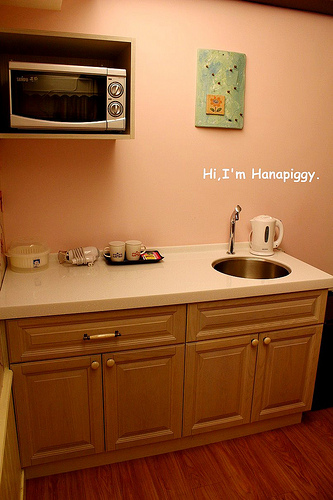 伊莉莎白酒店(26)