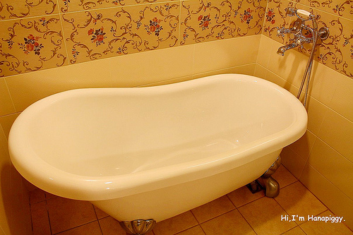 伊莉莎白酒店(18)