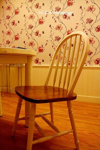 伊莉莎白酒店(25)