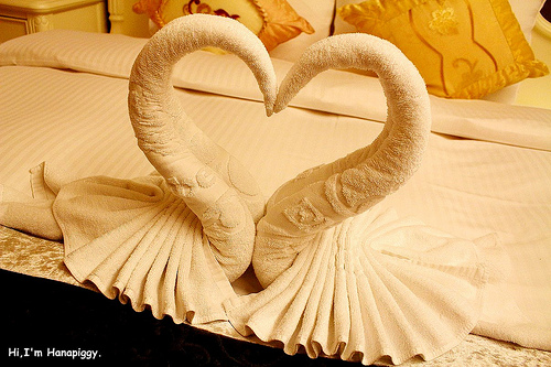 伊莉莎白酒店(33)