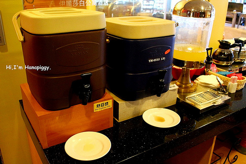 伊莉莎白酒店(53)