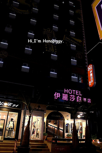 伊莉莎白酒店(9)