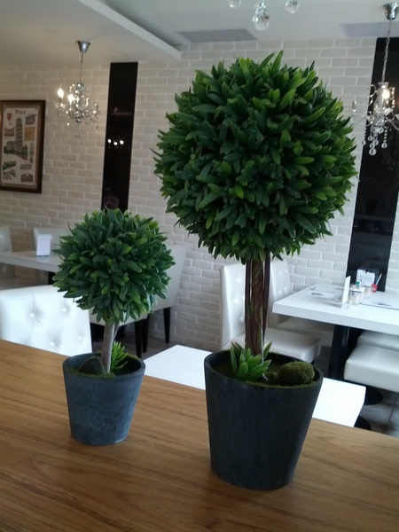 Angioletto's 安捷莉朵：[台南][美食]安捷莉朵~用料實在口味滿分的精緻美食體驗