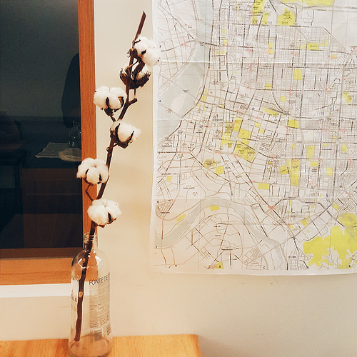 2016-08-15 01.54.31 1