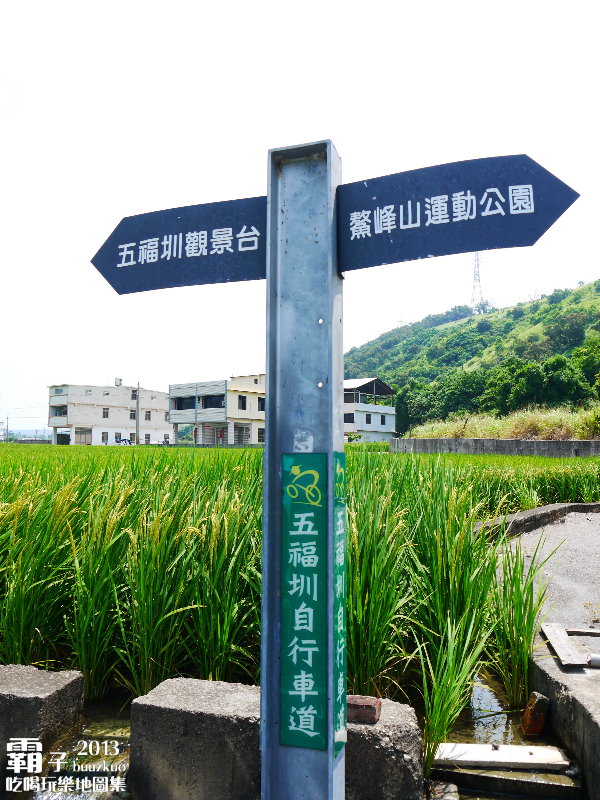 五福圳自行車道：清水。五福圳自行車道，騎著單車去賞荷 ～