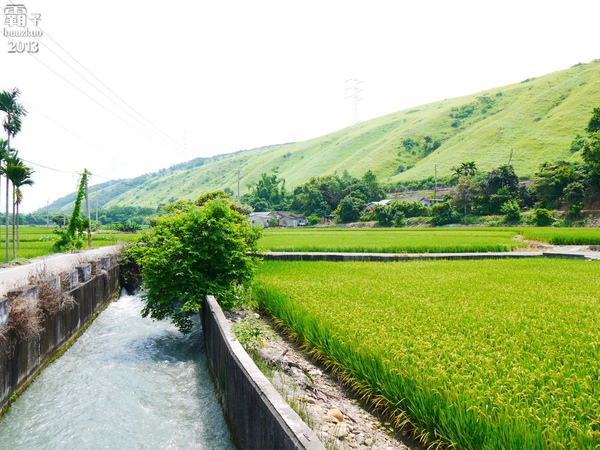 五福圳自行車道：清水。五福圳自行車道，騎著單車去賞荷 ～