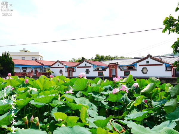 五福圳自行車道：清水。五福圳自行車道，騎著單車去賞荷 ～