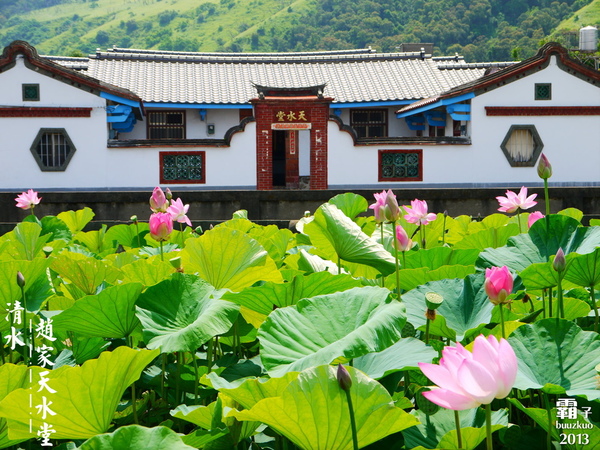 五福圳自行車道：清水。五福圳自行車道，騎著單車去賞荷 ～