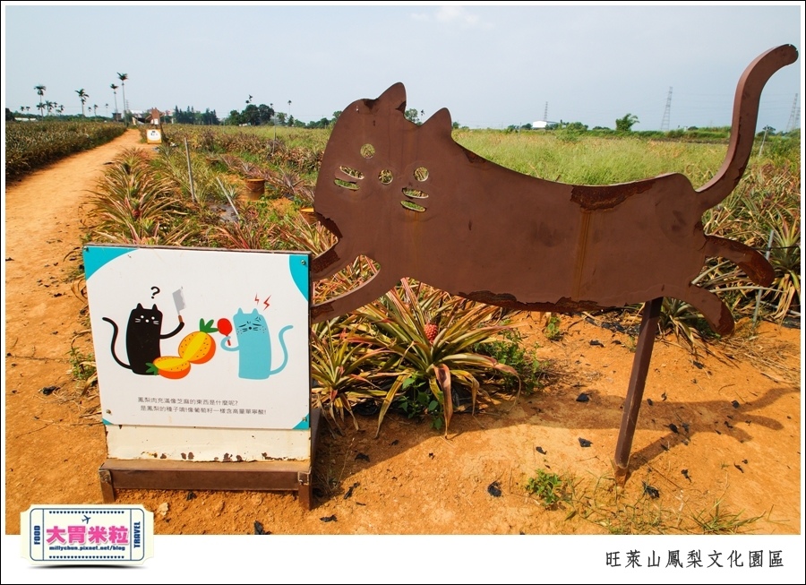 嘉義民雄旺萊山鳳梨酥文化園區@嘉義民雄必玩景點推薦@大胃米粒0069.jpg