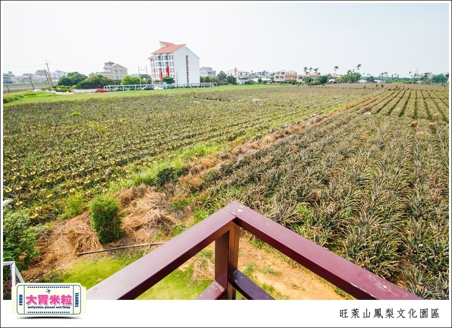 嘉義民雄旺萊山鳳梨酥文化園區@嘉義民雄必玩景點推薦@大胃米粒0058.jpg