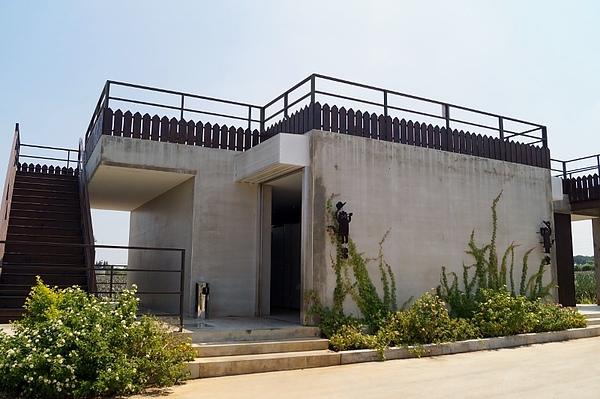 DSC03822 (800x532).jpg