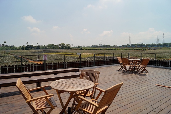 DSC03888 (800x532).jpg