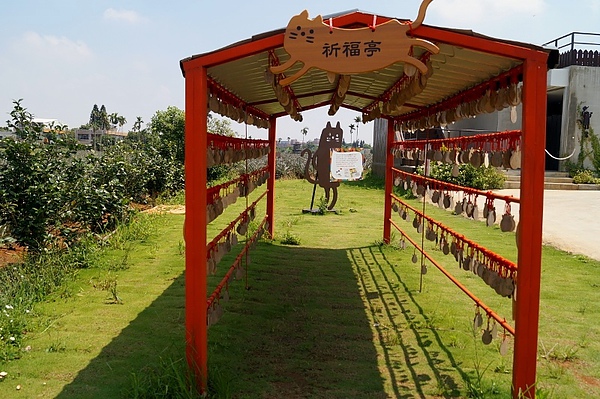 DSC03897 (800x532).jpg