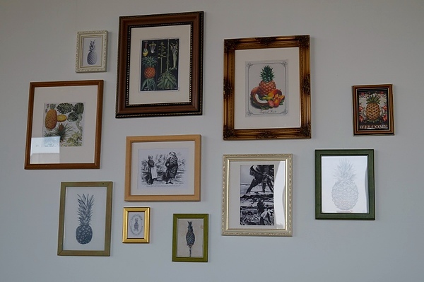 DSC03851 (800x532).jpg