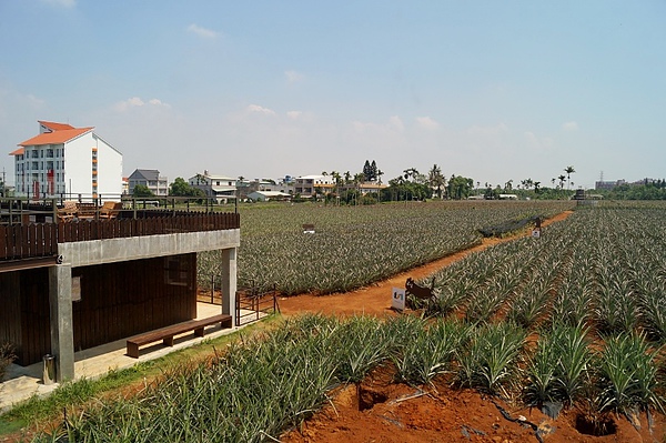 DSC03876 (800x532).jpg