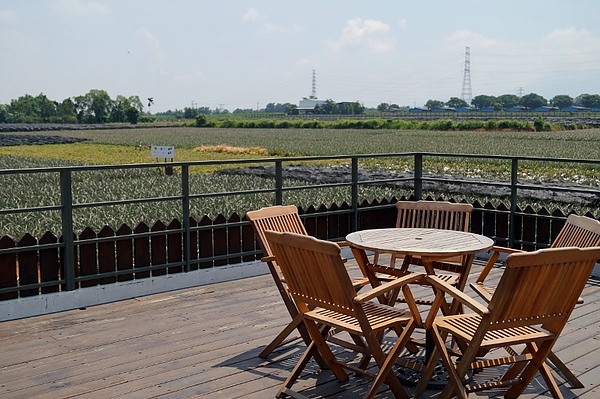 DSC03893 (800x532).jpg