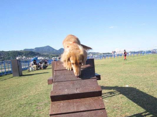 387952_518082221537822_2088769062_n