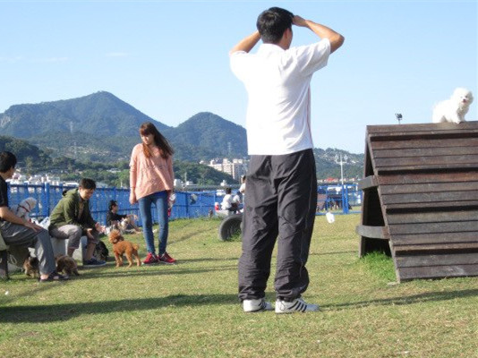 26632_518082761537768_728818641_n