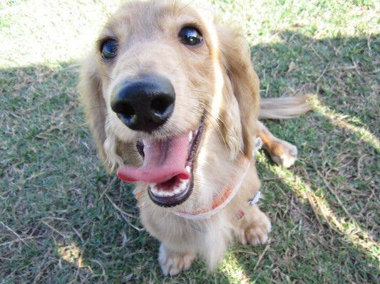 406970_518082461537798_1420858124_n