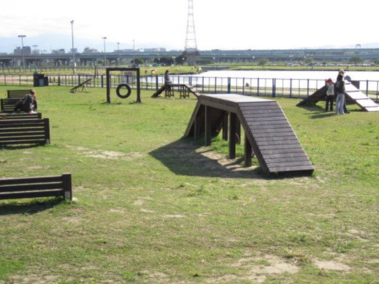 391679_518082398204471_1007835389_n