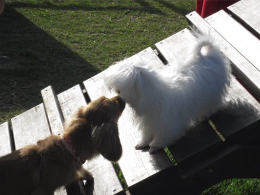 319090_518082801537764_529676688_n