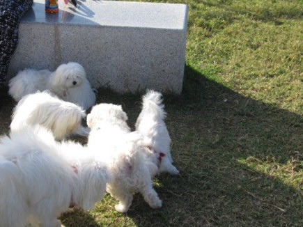 384186_518082914871086_1093527950_n