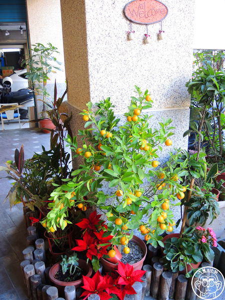 米多甜洋果子:呷飽祙【桃園中壢・米多甜洋果子】鄉村風幸福下午茶