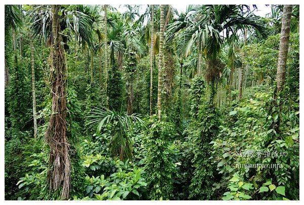 鋼管壩、情人橋、小天梯:失落的秘境【鋼管壩、情人橋、小天梯】