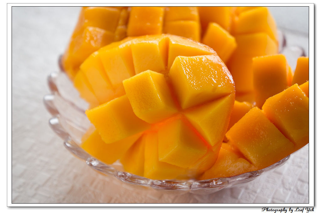 葉影瓶像版權所有