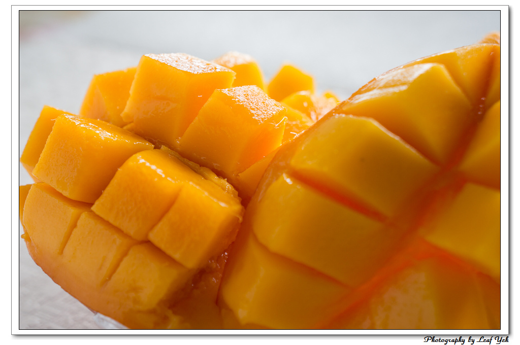 葉影瓶像版權所有