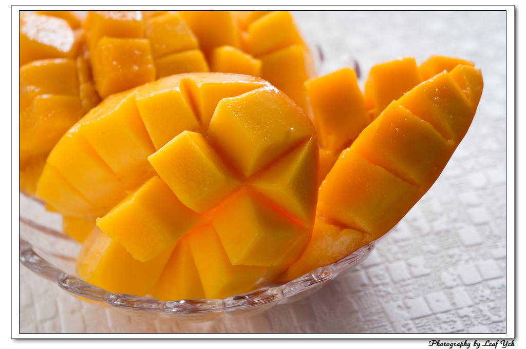 葉影瓶像版權所有