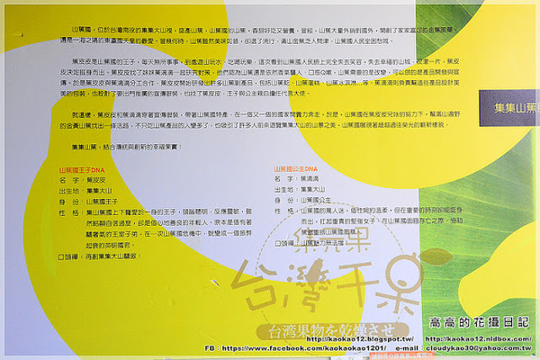 山蕉歷史文化館:【南投】集集鎮。集元果 集集山蕉歷史文化館
