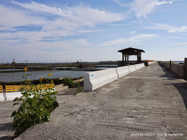 乳牛彩繪村：【景點】彰化Fubow Wetland 福寶濕地-教育生態園區&乳牛彩繪村@福興福寶村 : 海賊王山寨風彩繪, 記得做好防曬喔…
