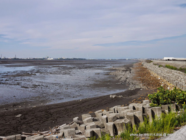 乳牛彩繪村：【景點】彰化Fubow Wetland 福寶濕地-教育生態園區&乳牛彩繪村@福興福寶村 : 海賊王山寨風彩繪, 記得做好防曬喔…