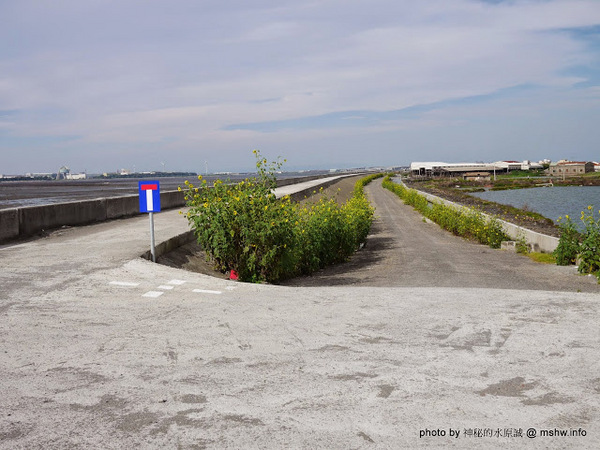 乳牛彩繪村：【景點】彰化Fubow Wetland 福寶濕地-教育生態園區&乳牛彩繪村@福興福寶村 : 海賊王山寨風彩繪, 記得做好防曬喔…