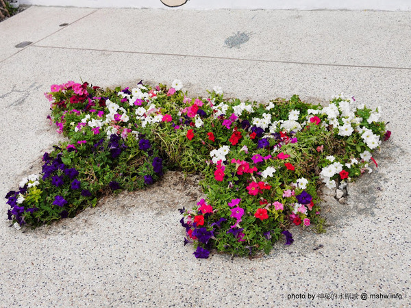 乳牛彩繪村：【景點】彰化Fubow Wetland 福寶濕地-教育生態園區&乳牛彩繪村@福興福寶村 : 海賊王山寨風彩繪, 記得做好防曬喔…