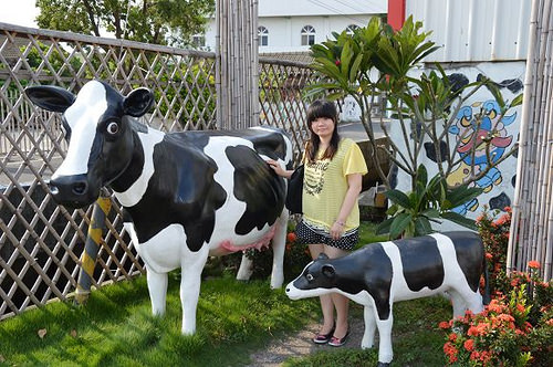 乳牛彩繪村29