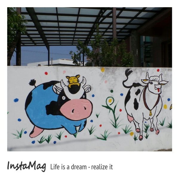 乳牛彩繪村：【彰化景點】彰化藍曬圖~福寶乳牛彩繪村