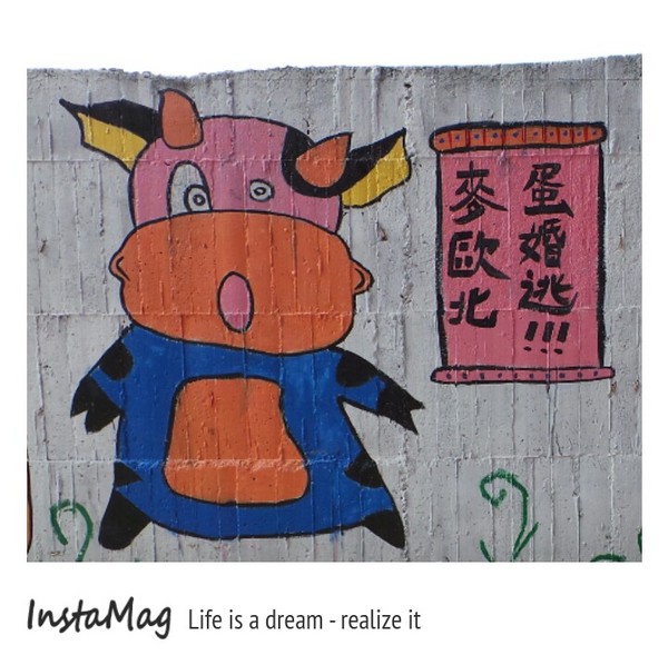 乳牛彩繪村：【彰化景點】彰化藍曬圖~福寶乳牛彩繪村