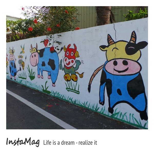 乳牛彩繪村：【彰化景點】彰化藍曬圖~福寶乳牛彩繪村