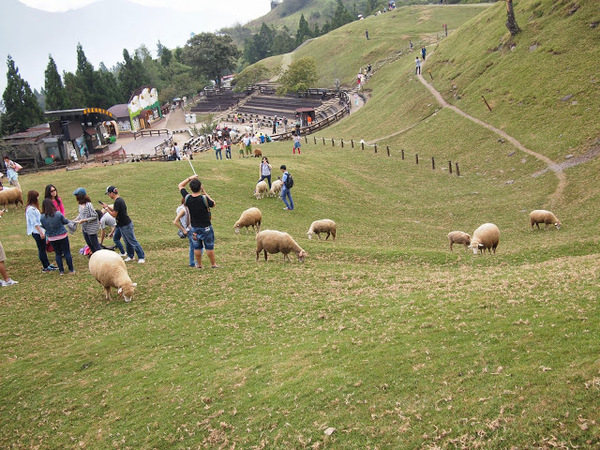 好雞婆土雞城:【食記】【景點】南投好雞婆土雞城&聚彩園休閒山莊@仁愛清境農場 : 與鳳凰共眠~清境山城兩天一夜小旅行! 擺夷料理好吃耶^^